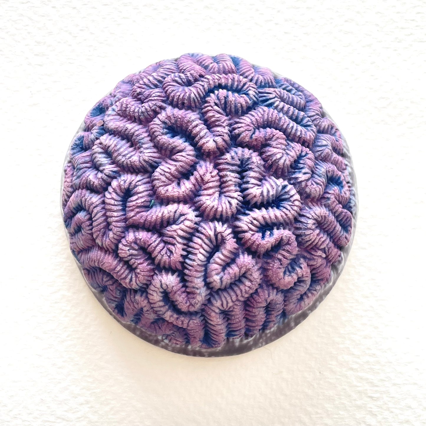 Porcelain Brain Coral