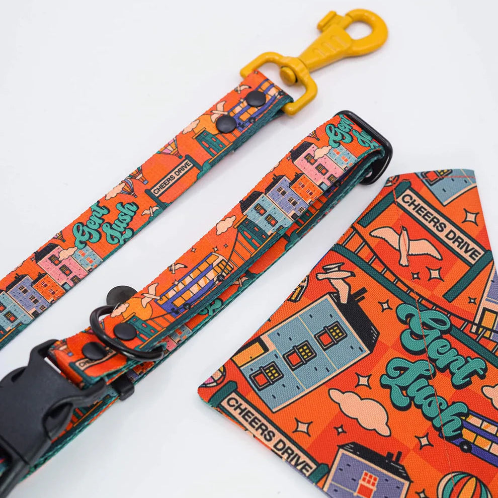 Cheers Drive Dog Collar